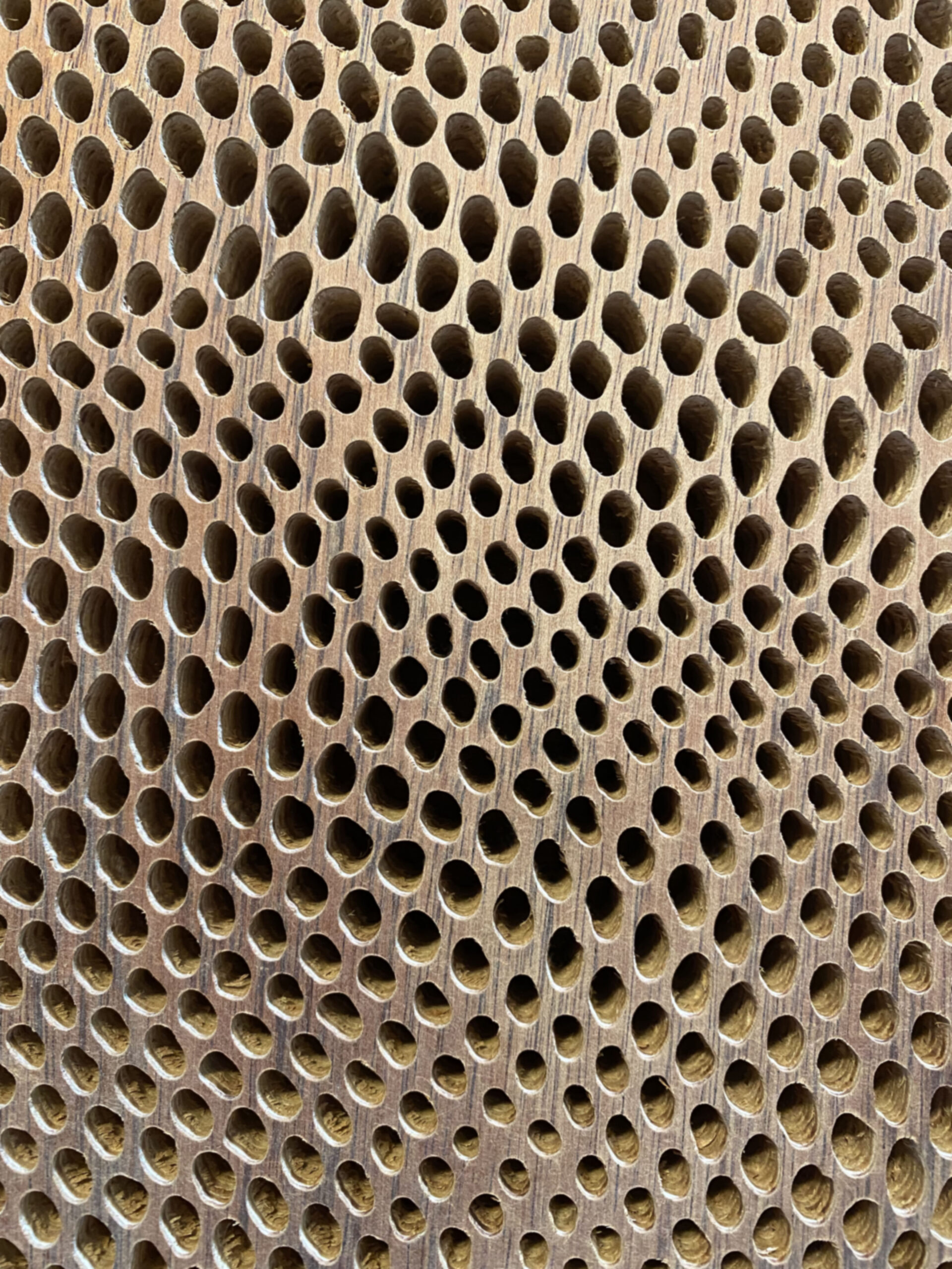 yarara
